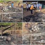 आगीच्या तांडवात शेतमजुराचा संसार भस्मसात; ७ गाभण शेळ्यांचा होरपळून मृत्यू, रोख रक्कमसह ६ लाखांचे नुकसान