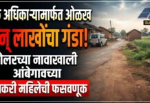 सबसिडीवर सोलर देतो म्हणून शेतकऱ्याला गंडा; गुन्हा दाखल