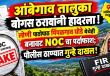 पिंपळगाव घोडे येथे खडी क्रेशरसाठी बोगस ठराव; बनावट कागदपत्रे सादर करणाऱ्यांवर गुन्हे दाखल….