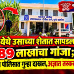 पोलिसांकडून एकूण ३१.७८५ किलो गांजा हस्तगत, अज्ञात इसमाविरुद्ध गुन्हा दाखल !