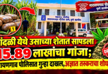 पोलिसांकडून एकूण ३१.७८५ किलो गांजा हस्तगत, अज्ञात इसमाविरुद्ध गुन्हा दाखल !